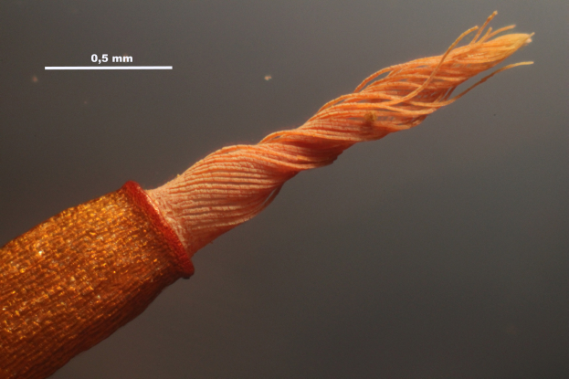 Nahaufnahme eines Kupferdrahts mit kleinen orangen Fasern und Text oben im Bild.