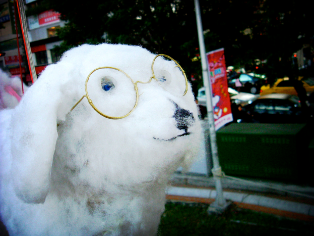 Ein hunde-förmiger Teddybär vorne mit Fahrzeugen, Bäumen und Gebäuden im Hintergrund und einem Banner in der Mitte.