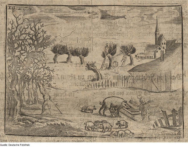 Eine Gravur einer Bauernszene mit Schweinen und einem Mann im Vordergrund, umgeben von Bäumen, Häusern und einem Zaun, mit Text unten.