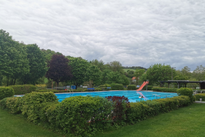 Großer Swimmingpool in einer grünen Wiese mit Bäumen, Pfählen, einem Schuppen und einem bewölkten Himmel.