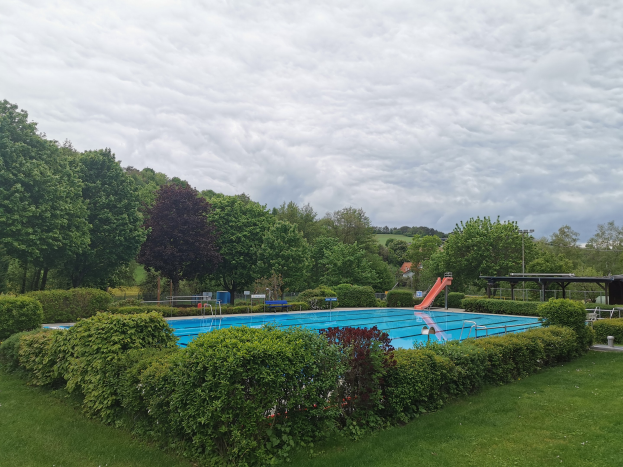 Großer Swimmingpool in einer grünen Wiese mit Bäumen, Pfählen, einem Schuppen und einem bewölkten Himmel.