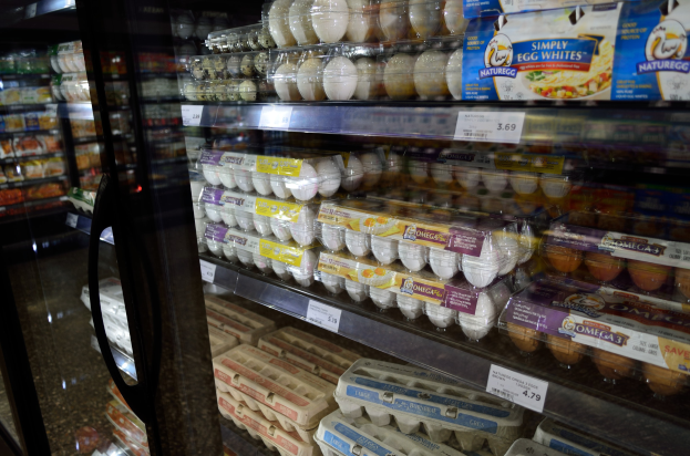 Ein Kühlschrank in einem Supermarkt, der ordentlich sortierte Regale mit verschiedenen Eiern zeigt, mit Preisschildern versehen.