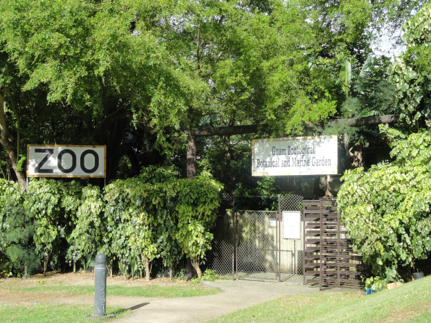 Eingang zu einem Zoo mit einem "Zoo"-Schild, umgeben von saftigem Grün, hohen Bäumen, einem klaren blauen Himmel, einem Vorderpfosten und einem Maschendrahtzaun im Hintergrund.