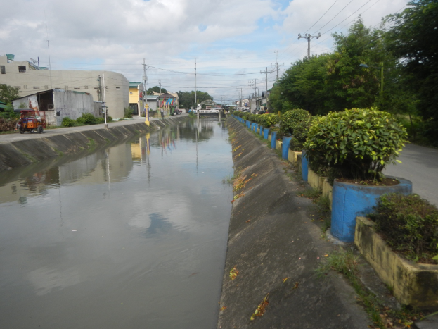 Überflutete Stadtstraße mit Wasser auf der Straße, Bäumen und Pflanzen auf der rechten Seite, Fahrzeugen auf der linken Seite, Gebäuden und Strommasten im Hintergrund und bewölktem Himmel oben.