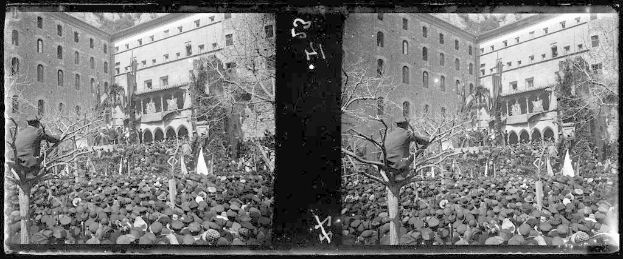 Ein Schwarz-Weiß-Foto einer großen Menschenmenge vor einem Gebäude mit Fenstern, Bäumen und Flaggen im Hintergrund, die scheinbar an einer Demonstration teilnehmen, wobei einige Schilder und Transparente halten.