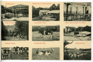Ein Schwarz-Weiß-Foto eines Bauernhofs mit Kühen, Pferden, Schafen, Häusern, Bäumen und einem Zaun, das einige Text auf der Postkarte enthält.