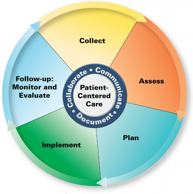 Ein Kreisdiagramm mit der Überschrift "patientenorientierte Pflege" und vier farbigen Abschnitten, die jeweils mit einem spezifischen Aspekt der Pflege beschriftet sind.