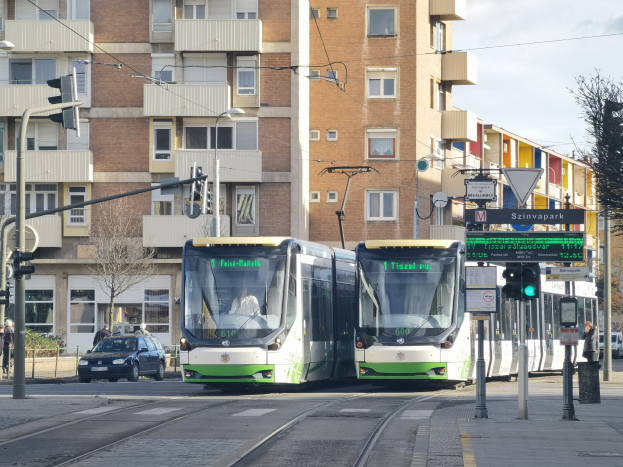 Zwei grüne und weiße Straßenbahnen auf einer Stadtstraße mit hohen Gebäuden, Fahrzeugen, Fußgängern, Verkehrsampeln und Bäumen unter einem bewölkten Himmel.