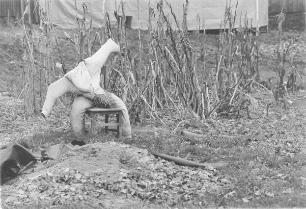 Ein gruseliges Spielzeug steht auf einem Tisch mit trockenen Pflanzen und einer Tafel im Hintergrund und Gras, Boden und trockene Blätter unten.