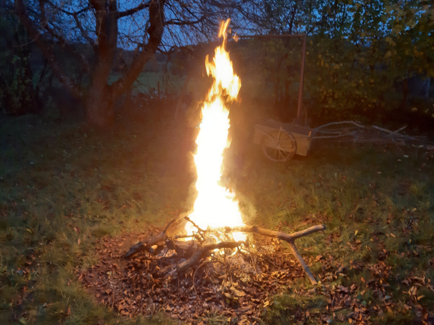 Feuer in einer grasbewachsenen Wiese in der Nacht, umgeben von trockenen Blättern und Stöcken, mit Bäumen und einem Karren im Hintergrund unter dem Himmel.