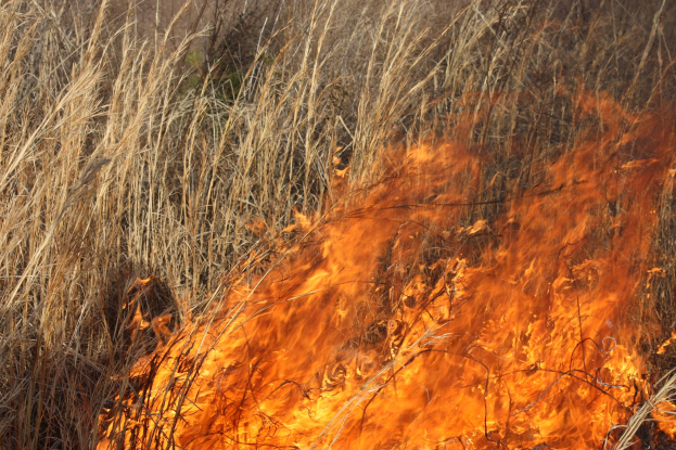 Verschreibungspflichtiges Feuer in einem hohen Grasfeld mit aufsteigendem Rauch.
