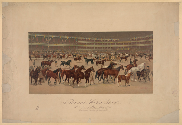 Gemälde von Reitern in traditioneller Kleidung auf verschiedenenfarbigen Pferden in einem vollen Stadion mit "Nationaler Pferdeshow"-Text und schwingenden Flaggen im Hintergrund.