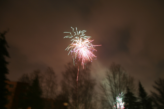 Umgestürzte Bäume im Vordergrund mit Feuerwerk und Wolken im Hintergrund.