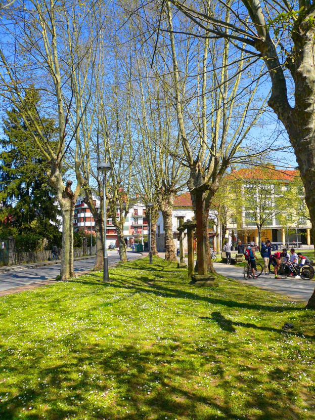 Ein Park mit grünem Gras und Bäumen, Menschen zu Fuß und Rad fahrend auf einer Straße, mit Gebäuden und einem klaren blauen Himmel im Hintergrund.