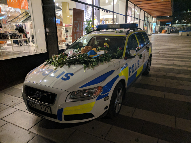 Een politieauto met bloemen en bladeren staat voor een winkel met glasmuur 's nachts, met poppen in jurken, borden met tekst en andere objecten zichtbaar binnen, en bomen en gebouwen in de achtergrond.