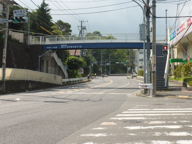 Stadtstraße mit einer Fußgängerbrücke darüber, Fahrzeuge auf der Straße, Strommasten mit Drähten, Verkehrszeichen, Schilder, Gebäude mit Fenstern, Bäume, Pflanzen und einen Himmel im Hintergrund.