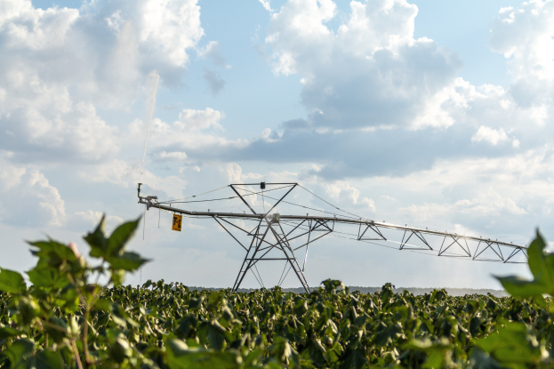 Sichere Erträge bei frühsommerlicher Dürre: 8 Tipps für Landwirte
