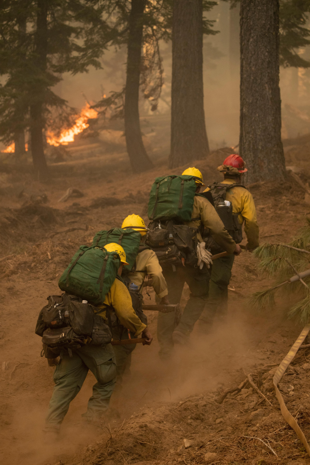 Eine Gruppe von Feuerwehrleuten in Helmen und Rüsenacken geht durch einen Wald, mit einem Feuer in der Ferne.