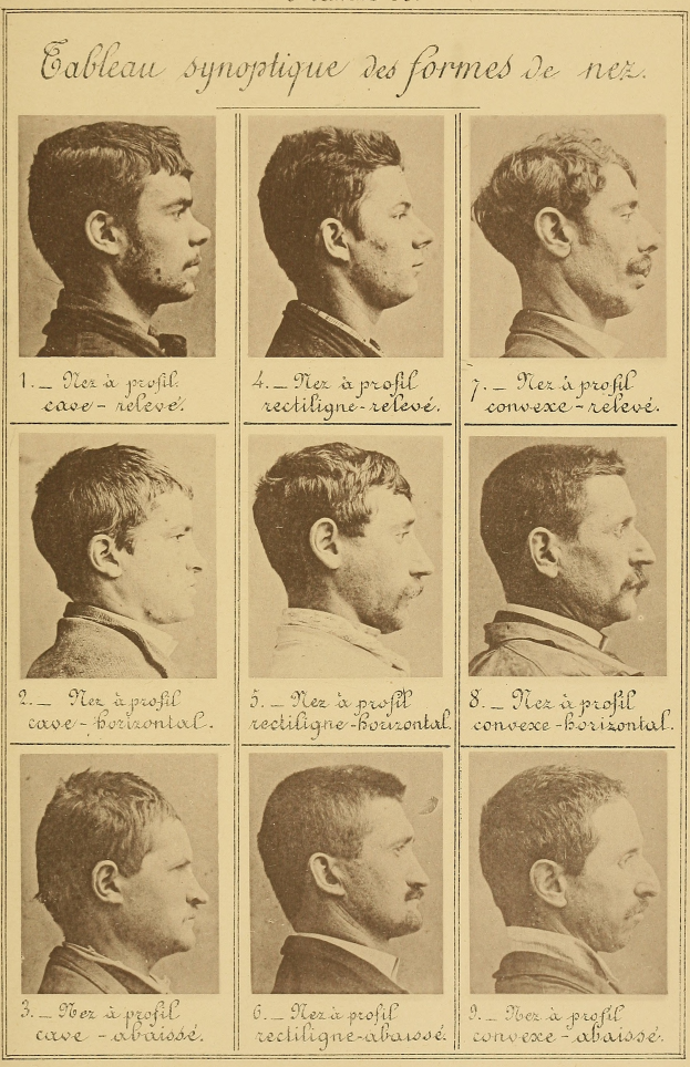 Ein altes Buch mit Bildern von Männergesichtern in verschiedenen Frisuren, begleitet von beschreibendem Text.