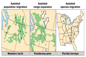 Eine Karte der Vereinigten Staaten, die verschiedene Arten der unterstützten Bevölkerungsmigration hervorhebt, begleitet von beschreibendem Text.